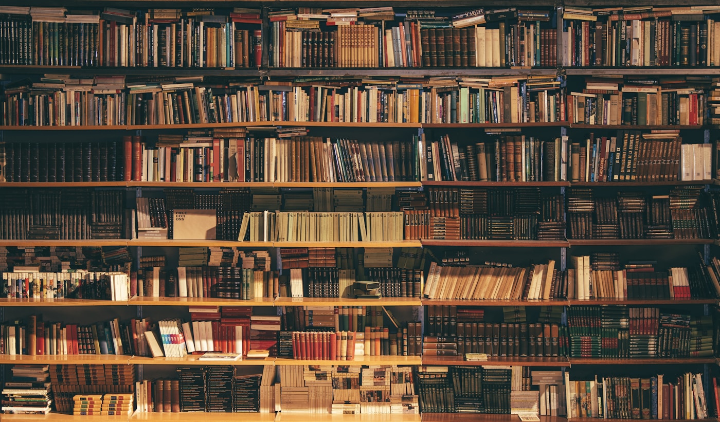 Library bookshelves representing learning and organized knowledge